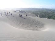 Песчаные дюны Сигатока