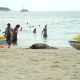 На пляже в Таиланде обнаружено тело туристки из Швеции // by visualcuriosity